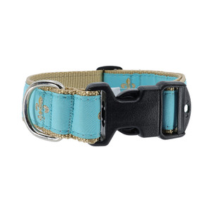 Fleur de Lis on Turquoise Collar