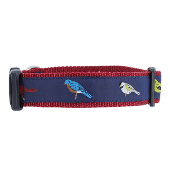 SONGBIRD COLLAR SONGBIRD COLLAR