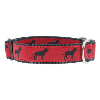 Black Dog on Red Wide Collar