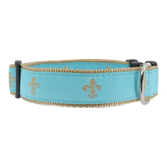 Fleur de Lis on Turquoise Collar Fleur de Lis on Turquoise Collar