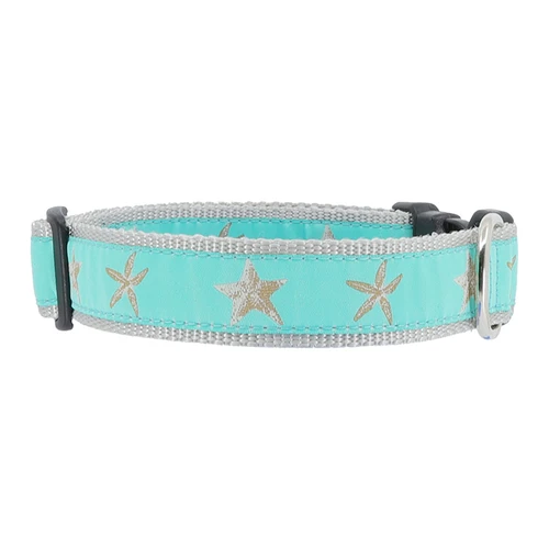 Starfish on Aqua Collar