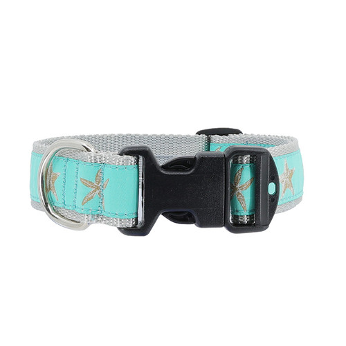 Starfish on Aqua Collar Starfish on Aqua Collar