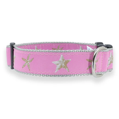 Starfish on Pink Collar