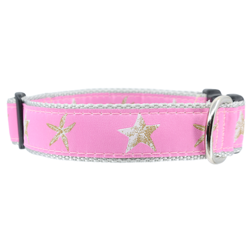 Starfish on Pink Collar