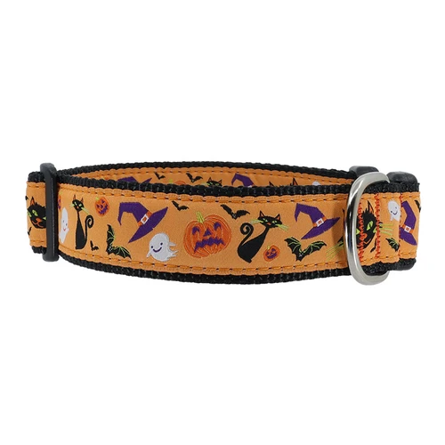 Halloween Whiskers Collar
