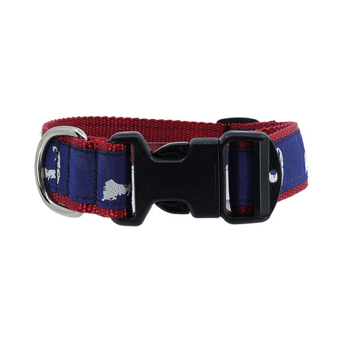 Cape Code - White on Navy Collar