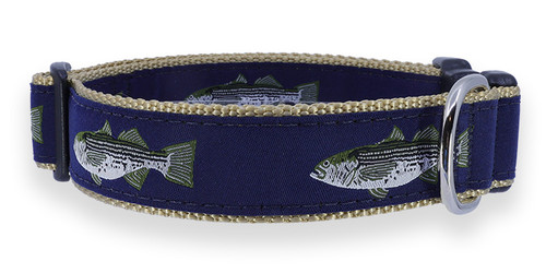 Striped Bass on Navy Collar