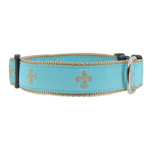 Fleur de Lis on Turquoise Collar