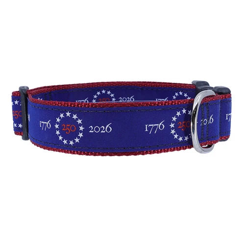 America 250