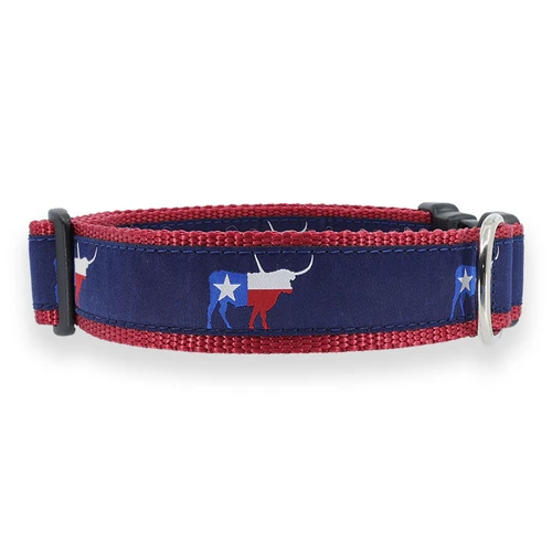 Texas Longhorn Collar