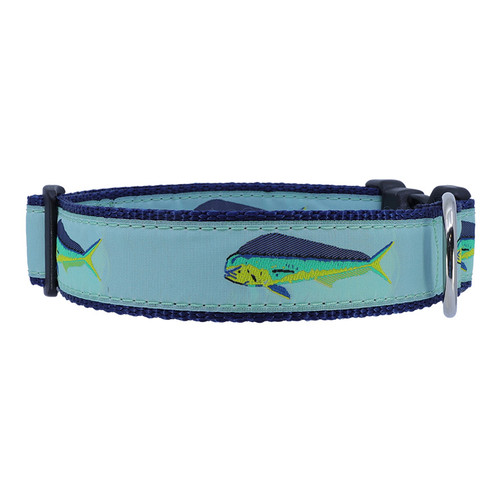 Mahi Mahi on Mint Collar