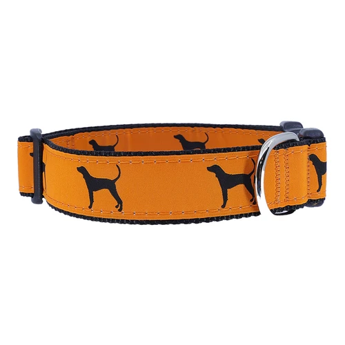 Coon Dog on Orange Collar