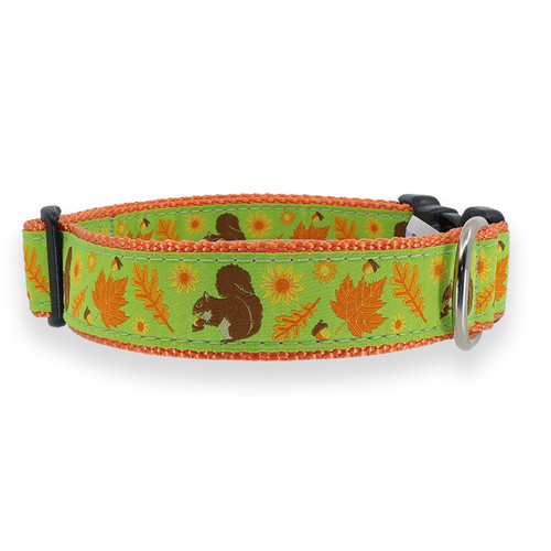 Squirrel & Nuts Collar