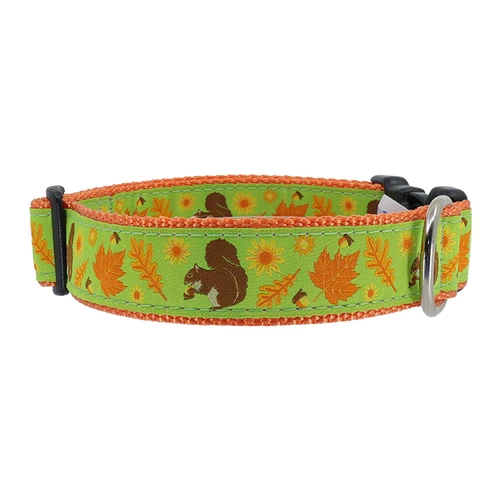 Squirrel & Nuts Collar