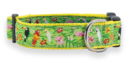 Tropical Birds Collar