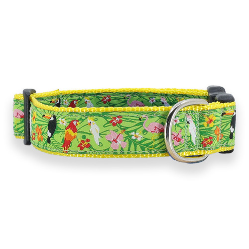 Tropical Birds Collar
