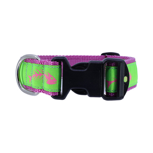 Fishbones (Pink on Green) Collar