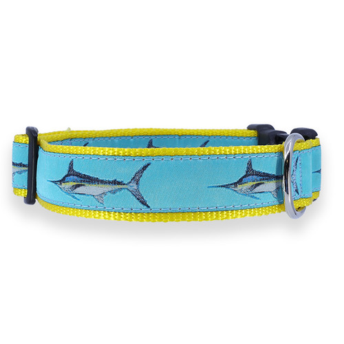 Marlin on Teal Collar