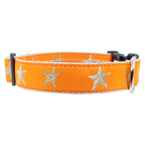 STARFISH on ORANGE