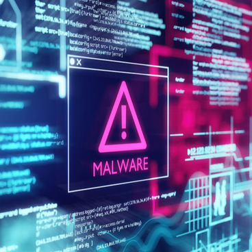 Introduction to Malware Product Image