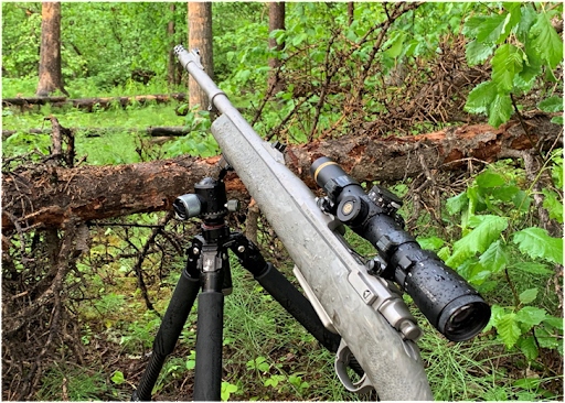 Ruger M77: Exploring Updated Additions for a Timeless Rifle