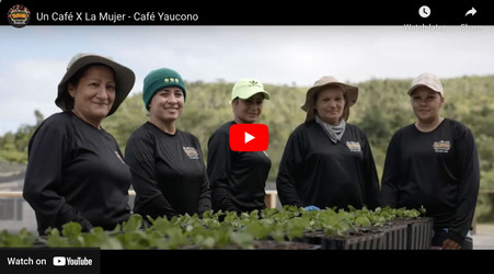 Un Café X La Mujer - Celebrando el Día Internacional de la Mujer