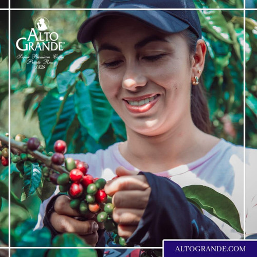 Alto Grande Capsules 18 Count - Decaf