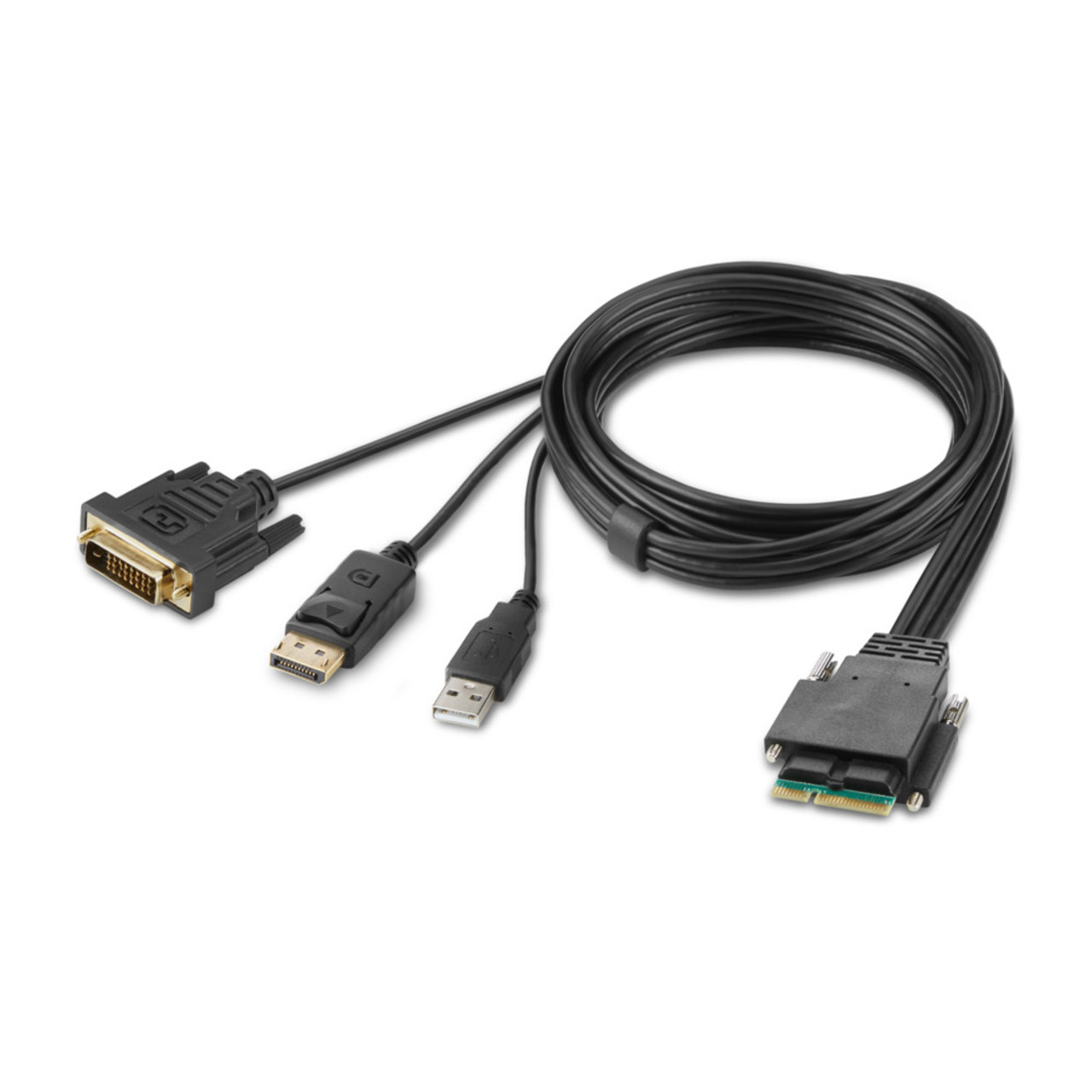 Belkin KVM Cable in Black 70.9 for F1DN2MOD-HC-DP6 | Compatible with KVM switches | Server Accessories