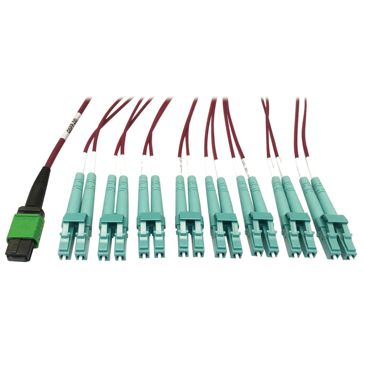 Tripp Lite N846D-01M-16EMG fiber optic cable 1m MTP to 8x LC OM4 Magenta - for high-speed data transmission