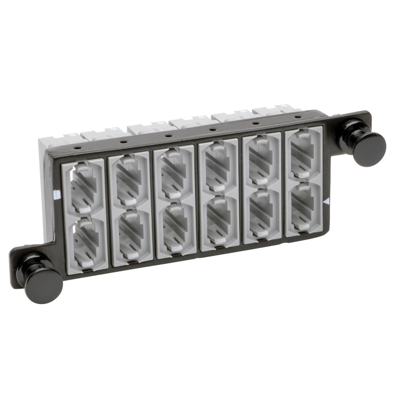 Tripp Lite N482-12M12-X2 Patch Panel for Networking Applications