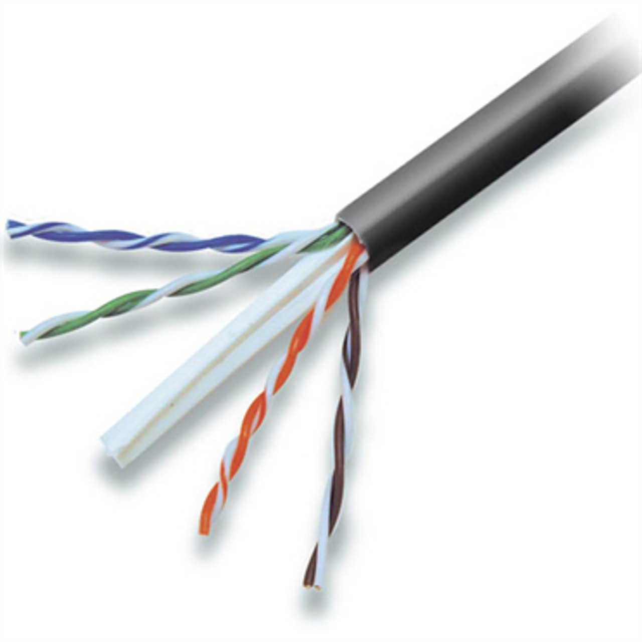 Belkin Cat5e Plenum Networking Cable in Black - 1000ft - TAA504-1000BK-P - for TAA Compliance