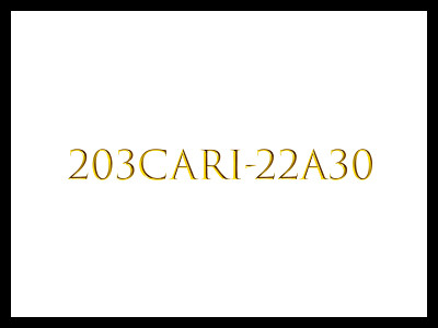 203CAri-22A30