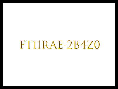 FT11RAE-2B4z0