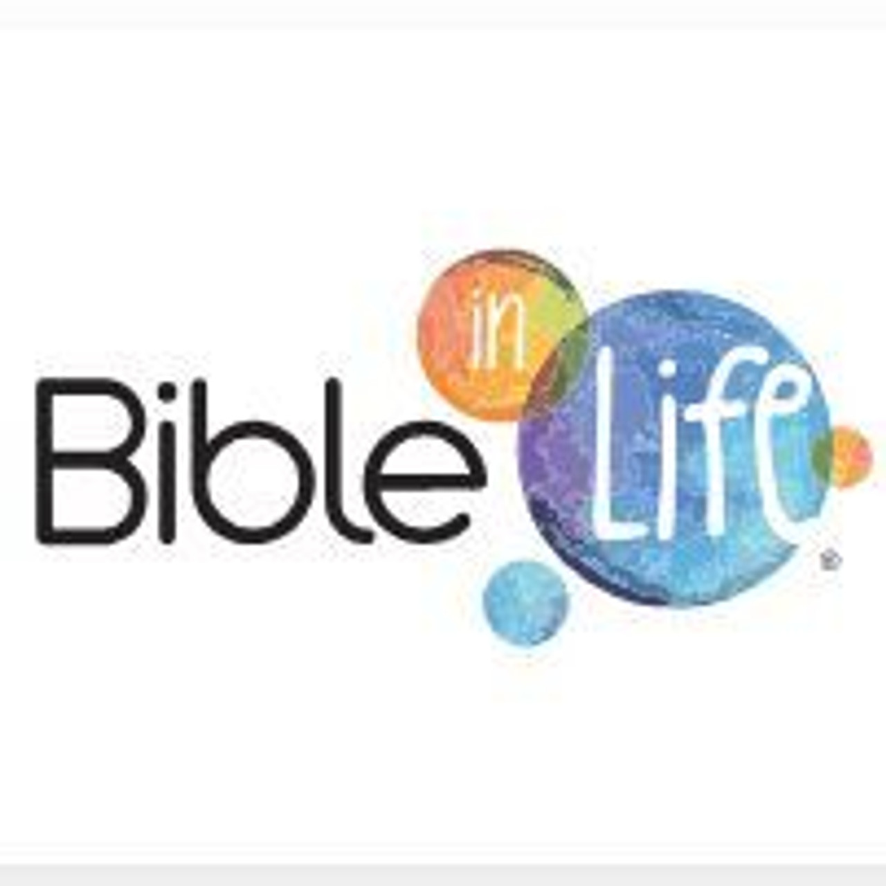 David C. Cook Bible in Life - Summer