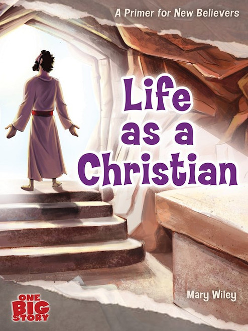 Life As A Christian (One Big Story) by Wiley Mary