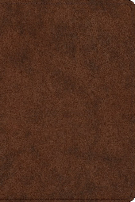 ESV Study Bible/Personal Size-Brown TruTone by English Standard V