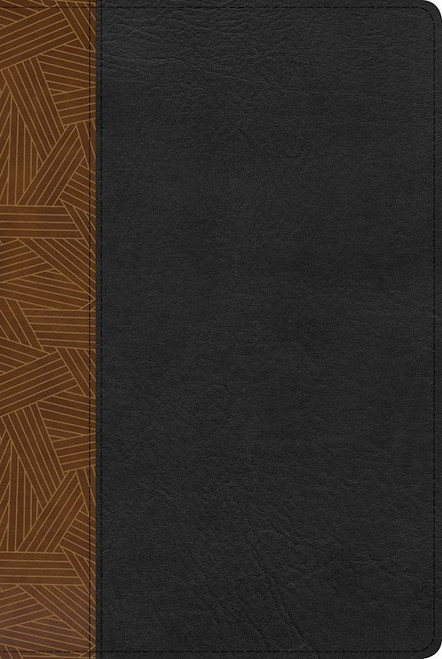 RVR 1960 Biblia de Estudio Arcoiris (Rainbow Study Bible)-Tan/Black Imitation Leather by B&H Espa±ol