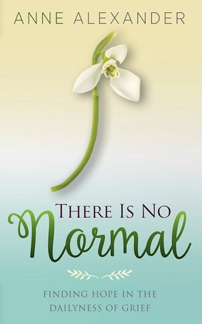 There Is No Normal by Alexander Anne