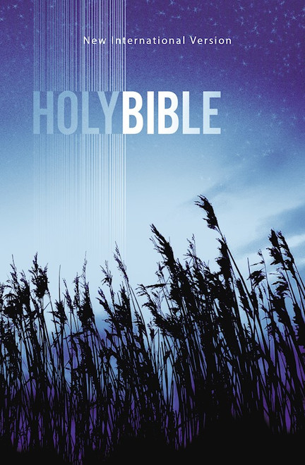 NIV Value Outreach Bible-Blue Wheat Softcover by Zondervan