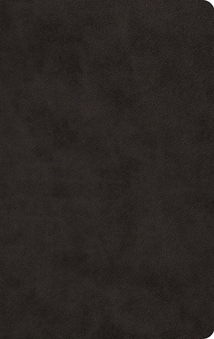 ESV Large Print Value Thinline Bible-Black TruTone by English Standard V
