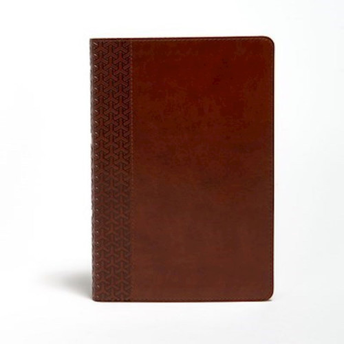KJV Everyday Study Bible-British Tan LeatherTouch by Holman Bible