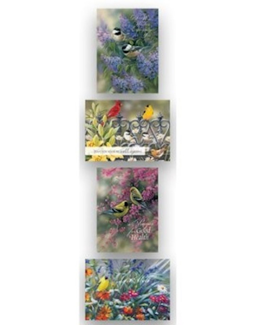 Card-Boxed-Shared Blessings-Get Well 3-Birds (Box Of 12) by Millette Rosemary
