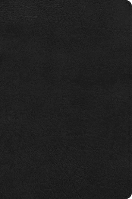 CSB Large Print Thinline Bible-Black LeatherTouch by CSB Bibles By Holm