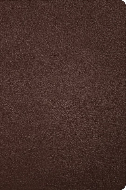 CSB Large Print Thinline Bible (Holman Handcrafted Collection)-Brown Premium Goatskin by CSB Bibles By Holm