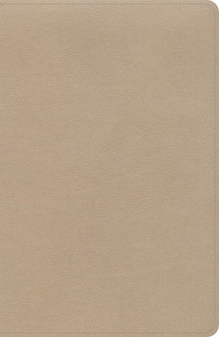 KJV Thinline Bible-Gold LeatherTouch by Holman Bible