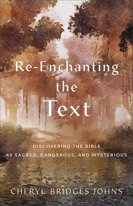 Re-Enchanting The Text by Johns Cheryl