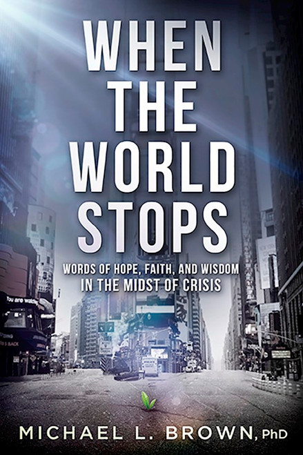 When The World Stops by Brown Michael