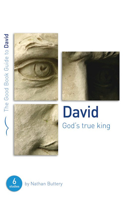 David (The Good Book Guide) by Buttery Nathan