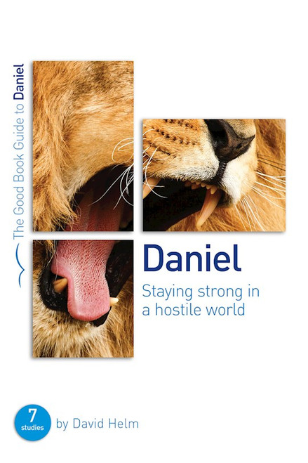 Daniel (The Good Book Guide) by Helm David