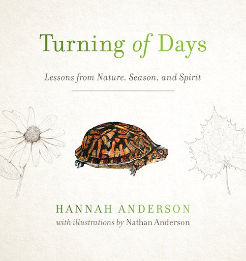 Turning Of Days by Anderson Hannah